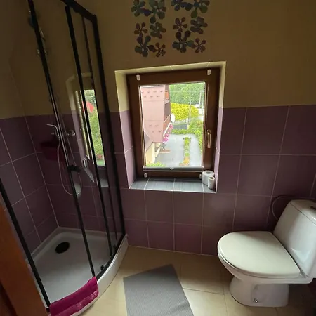 U Halinki Apartment Czorsztyn Exterior photo